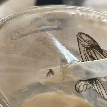 Wushiland Boba - Bugs - Coffee & Tea Near Me - Arcadia, California