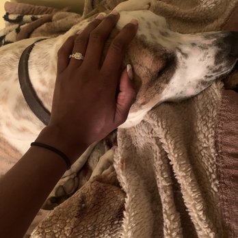 Blue Barn Ranch - Our first night without Nezuko. Deku is relaxing peacefully and I was so thrilled! - Pet Training Near Me - Yucca Valley, California Blue Barn Ranch - Our first night without Nezuko. Deku is relaxing peacefully and I was so thrilled! - Pet Training Near Me - Yucca Valley, California
