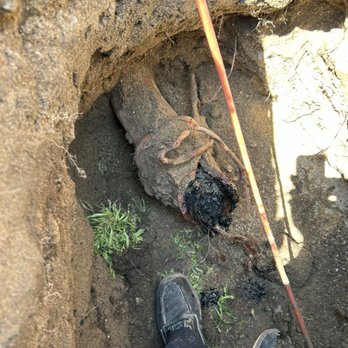 Hermes Plumbing - Root intrusion on sewer main(clay pipe) - Plumbing Near Me - Fontana, California