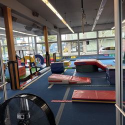 The Jungle Gym