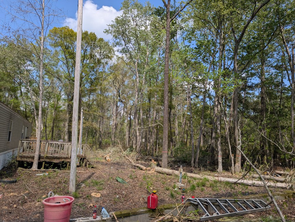 Treeality Tree Technologies - tree service in Savannah, GA