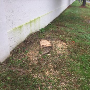 Berlin Stump Grinding - Tree Services Near Me Berlin Stump Grinding - Tree Services Near Me