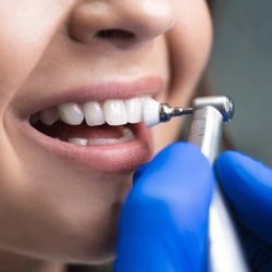 Mark Lazar, DDS - Untitled