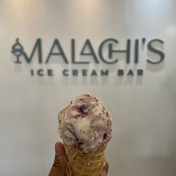 Malachi’s Ice Cream Bar - Blueberry Cheesecake - Ice Cream & Frozen Yogurt Near Me - Jacksonville, Florida
