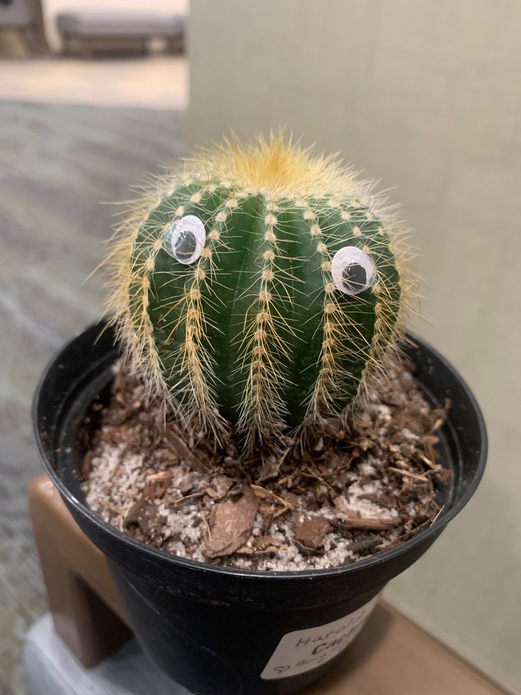 CENTURA AVISTA ADVENTIST HOSPITAL - Updated December 2025 - 17 Photos ...