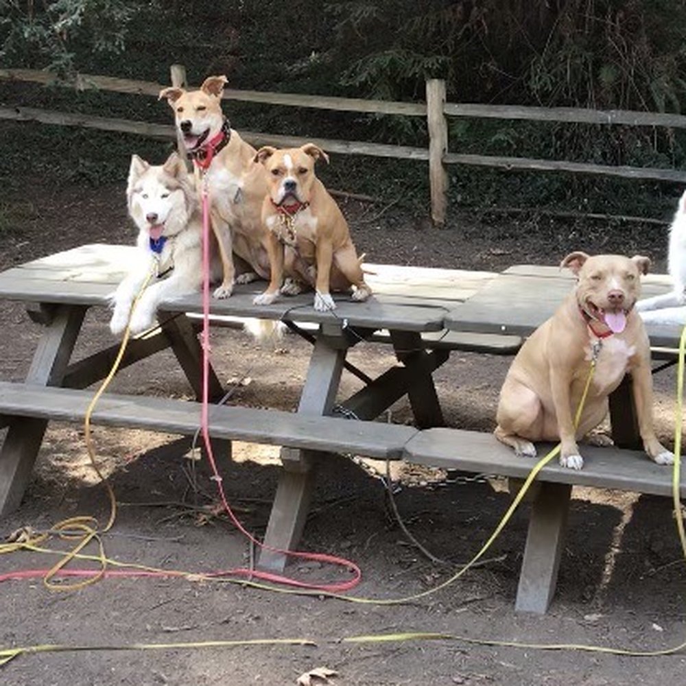 The posse!! The posse!!