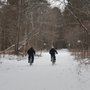 Photo of Lavigne Natural Park