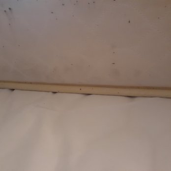 Hotel Liquidation Warehouse - Appliances Near Me - Holiday, Florida
