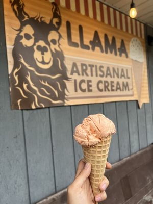 Llama Ice Cream by null