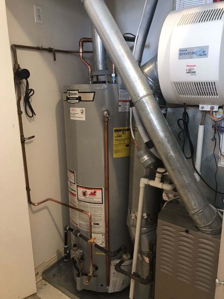 Slide of Narwhal Plumbing