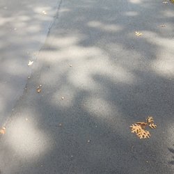 Modern Paving