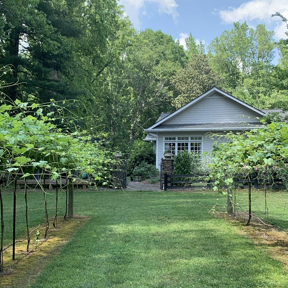 Trillium Vineyard - Vineyard - Wine Tours Near Me - Bremen, Georgia Trillium Vineyard - Vineyard - Wine Tours Near Me - Bremen, Georgia