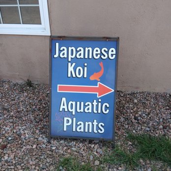 Oasis Aquatics - Nurseries & Gardening Near Me - Santa Fe, New Mexico