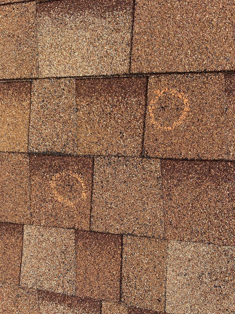 Slide of Mighty Dog Roofing