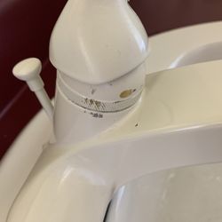 W C Borchelt  & Sons