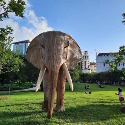 Hermann Park by null