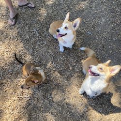 Mast Park - The crew