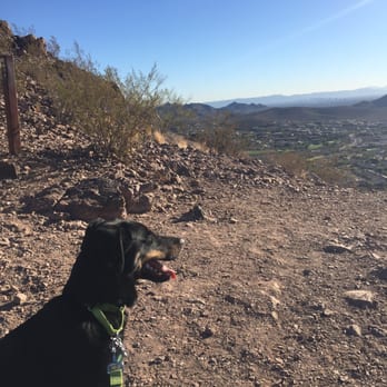 Lookout Mountain Preserve - Lookout Mountain is very dog friendly. Just make sure you clean up after your pet!!!! Rocco loves climbing mountains.... - Parks Near Me - Phoenix, Arizona