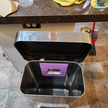 Edens' Buzzy Bee Cleaning Services - Home Cleaning Near Me