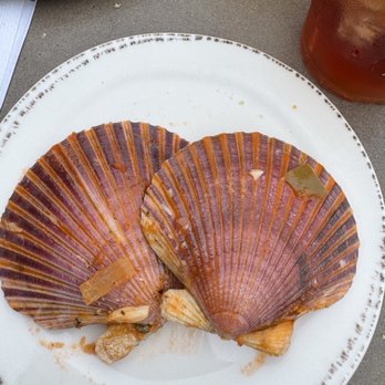 Bluewater Grill - These were scallop shells from my cioppino. So pretty so I took them home! - Seafood Near Me - Avalon, California Bluewater Grill - These were scallop shells from my cioppino. So pretty so I took them home! - Seafood Near Me - Avalon, California
