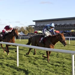 Down Royal Racecourse