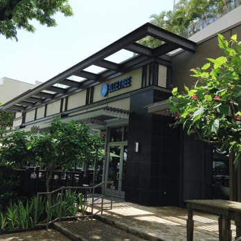 Bluetree Cafe - Honolulu - You can easily find it! - Coffee & Tea Near Me - Honolulu, Hawaii Bluetree Cafe - Honolulu - You can easily find it! - Coffee & Tea Near Me - Honolulu, Hawaii