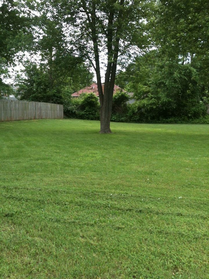 Dale's Lawn Service - tree service in Nixa, MO