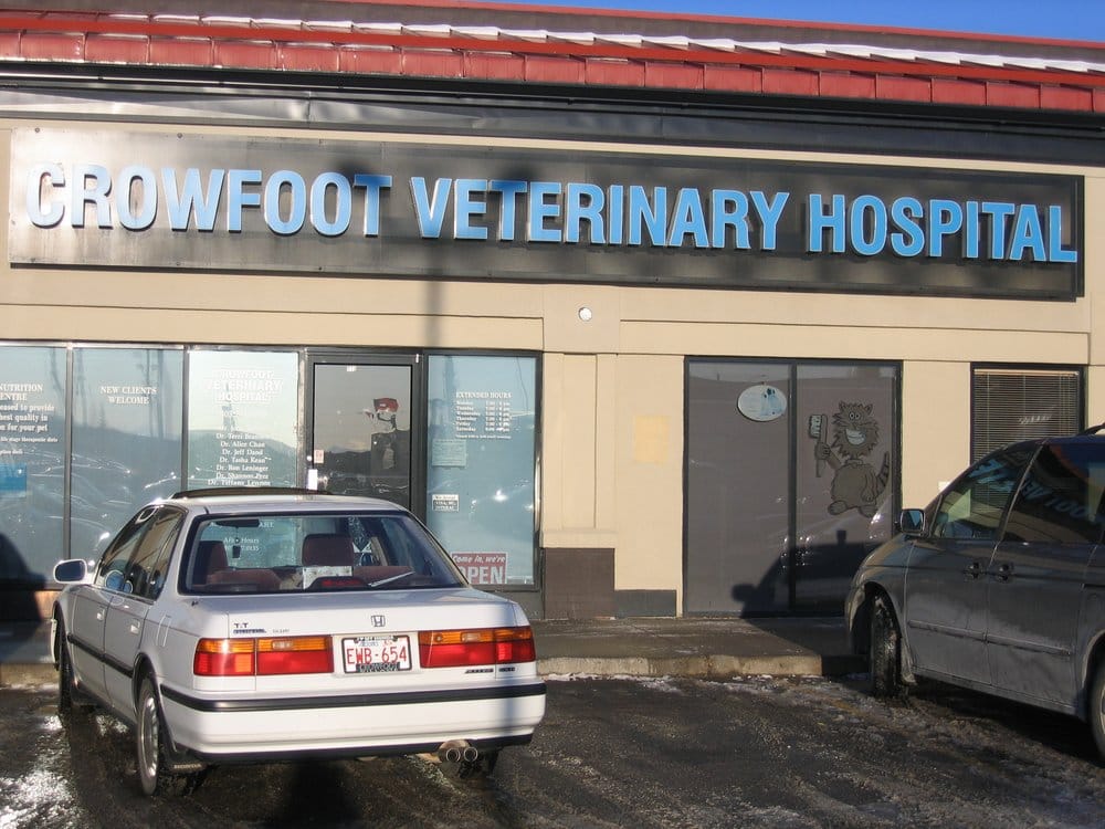 VCA CANADA CROWFOOT ANIMAL HOSPITAL Updated October 2024 150