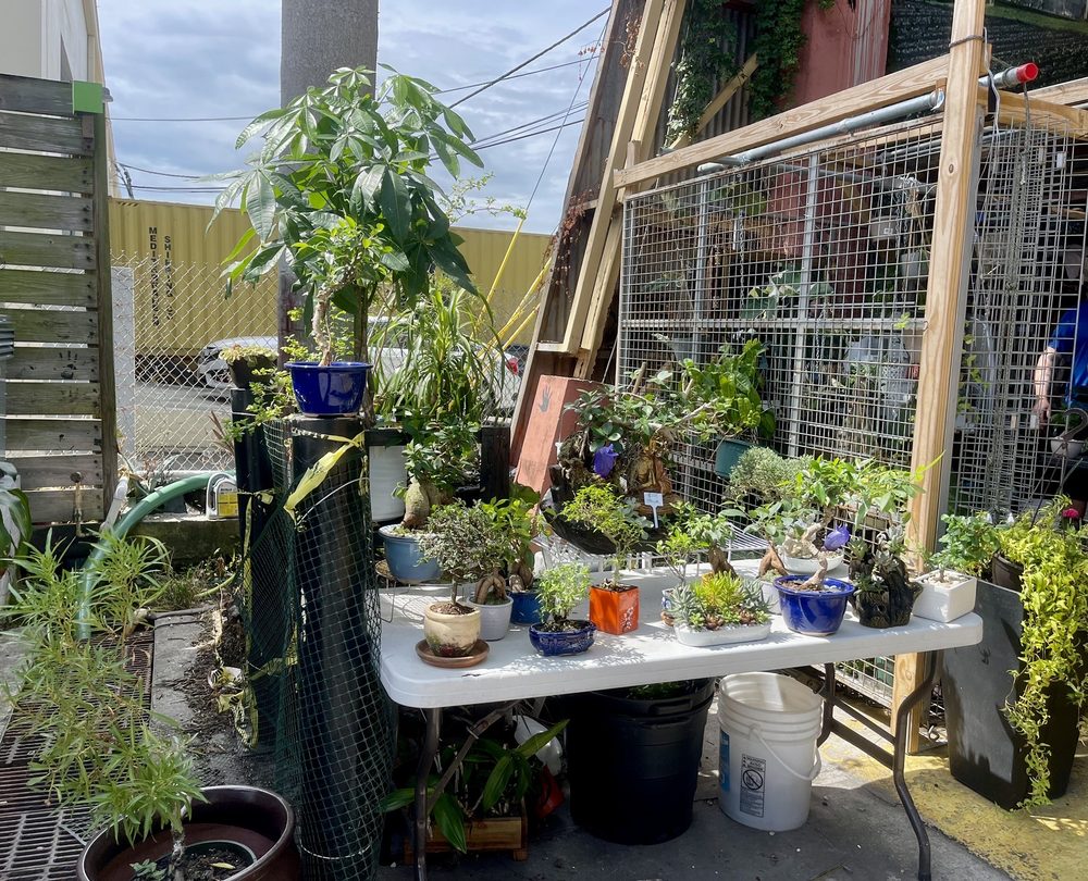 Yellow Green Farmers Market