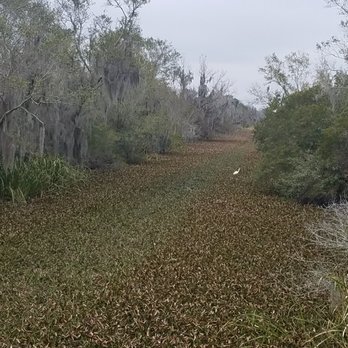 Lafitte Barataria Preserve - Even more marsh! - Parks Near Me - New Orleans, Louisiana Lafitte Barataria Preserve - Even more marsh! - Parks Near Me - New Orleans, Louisiana