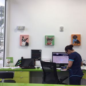 edgewater veterinary clinic