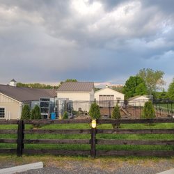 Manor Hill Brewing