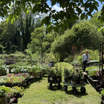 Brookville Nurseries - Nurseries & Gardening Near Me - Glen Head, New York Brookville Nurseries - Nurseries & Gardening Near Me - Glen Head, New York