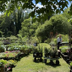 Brookville Nurseries