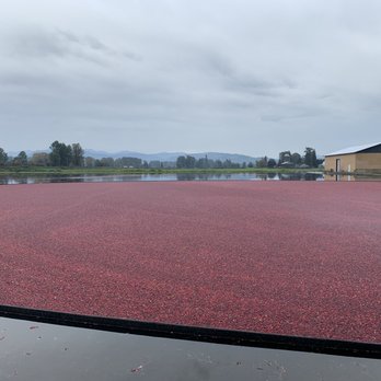 THE BOG RIVERSIDE CRANBERRY FARM - Updated May 2026 - 10 Photos - 26885 ...