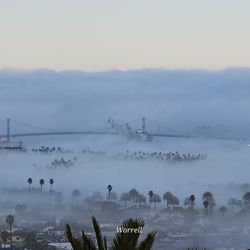 Lookout Point Park - Got this am to take a sneak peak at san pedro city after the storm
