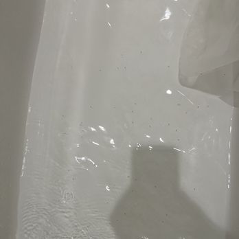 Alexander Station - Ants in our water that were coming from our bath faucet! - Apartments Near Me - Gilroy, California Alexander Station - Ants in our water that were coming from our bath faucet! - Apartments Near Me - Gilroy, California