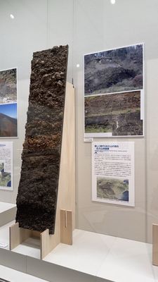 Mt. Fuji World Heritage Centre by null