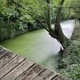Photo of Minnewaterpark