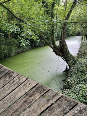 Minnewater Park by null