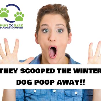 Paws To Bark - Paws to Bark
Dog waste removal service for Hamilton Burlington Milton Brantford Oakville Grimsby Ontario - Pet Waste Removal Near Me - Hamilton, Ontario