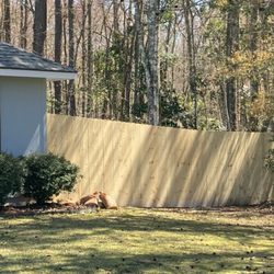 Nelson Fencing and Handyman Services