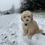 Photo of All Natural Pet Supply