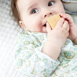 Mt Tam Mamas Postpartum Love