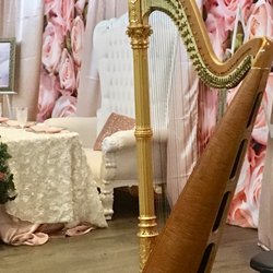 Music By Melody Harpist - Its a Girl- baby shower with lullabies on harp