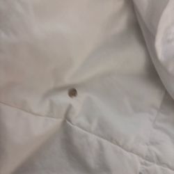 Comfort Inn Dunn Near I-95 - Blood on sheets