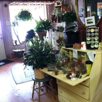 Frey Florist - Nurseries & Gardening Near Me - Providence, Rhode Island
