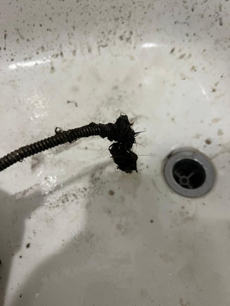 Slide of Master Rooter