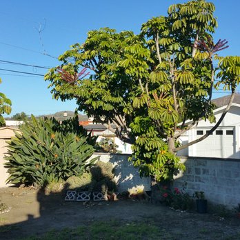 Shadow Roofing - Roofing Near Me - Ventura, California
