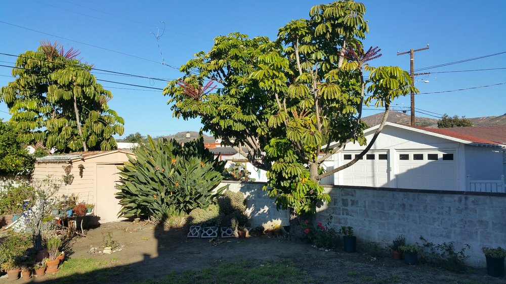 Slide of Shadow Roofing